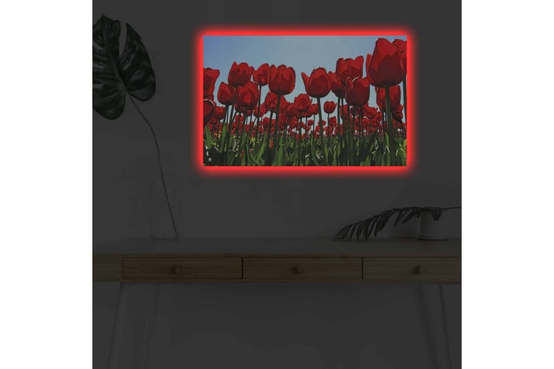 Veggdekorasjon LED-belysning Canvas Bilde - Interiør - Maleri & posters - Lerretsbilder