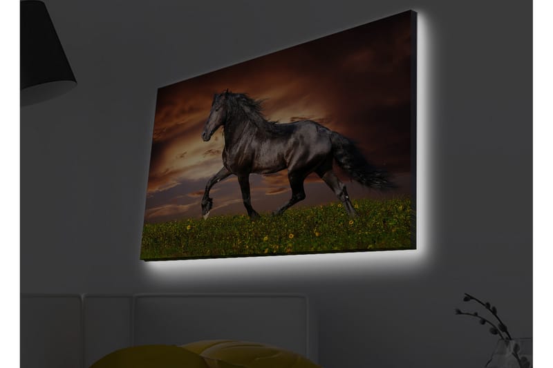 Veggdekorasjon LED-belysning Canvas Bilde - Interiør - Maleri & posters - Lerretsbilder