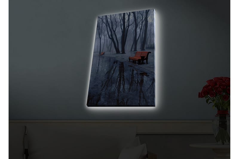 Veggdekorasjon LED-belysning Canvas Bilde - Interiør - Maleri & posters - Lerretsbilder