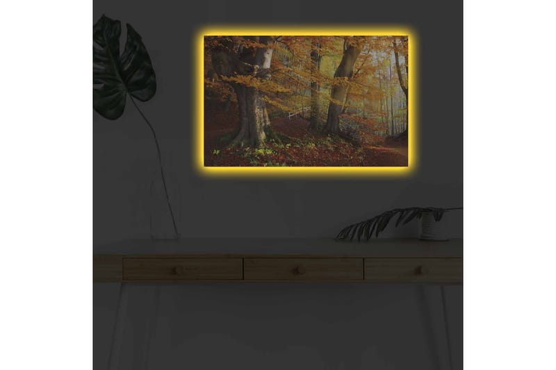 Veggdekorasjon LED-belysning Canvas Bilde - Interiør - Maleri & posters - Lerretsbilder