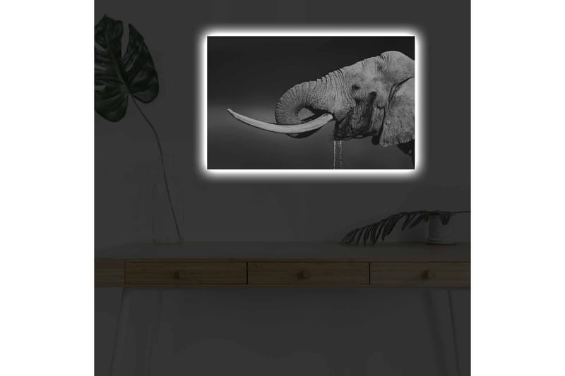 Veggdekorasjon LED-belysning Canvas Bilde - Interiør - Maleri & posters - Lerretsbilder