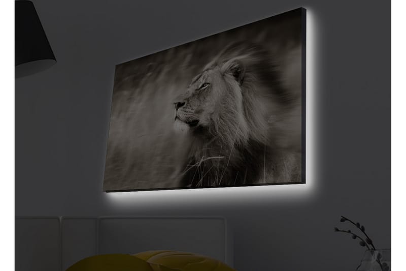 Veggdekorasjon LED-belysning Canvas Bilde - Interiør - Maleri & posters - Lerretsbilder