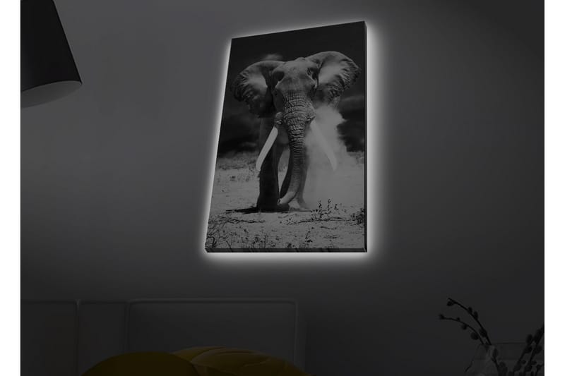 Veggdekorasjon LED-belysning Canvas Bilde - Interiør - Maleri & posters - Lerretsbilder