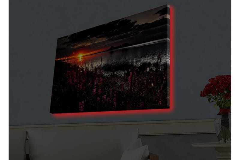 Veggdekorasjon LED-belysning Canvas Bilde - Interiør - Maleri & posters - Lerretsbilder