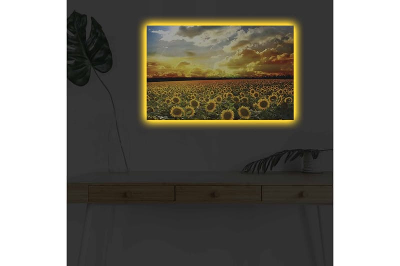 Veggdekorasjon LED-belysning Canvas Bilde - Interiør - Maleri & posters - Lerretsbilder