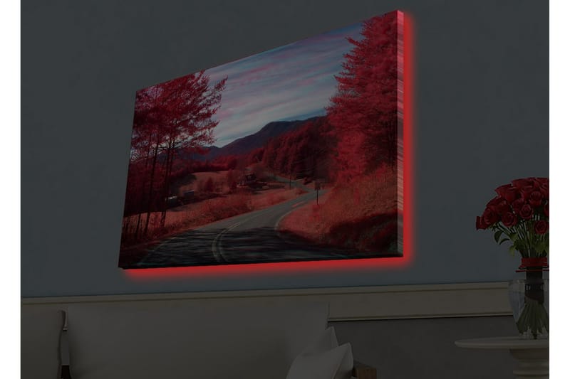 Veggdekorasjon LED-belysning Canvas Bilde - Interiør - Maleri & posters - Lerretsbilder