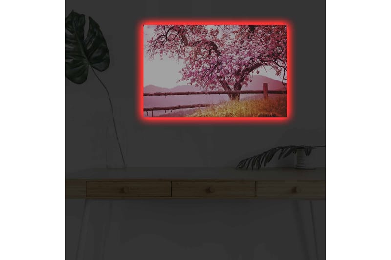 Veggdekorasjon LED-belysning Canvas Bilde - Interiør - Maleri & posters - Lerretsbilder