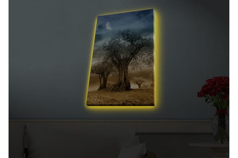 Veggdekorasjon LED-belysning Canvas Bilde - Interiør - Maleri & posters - Lerretsbilder