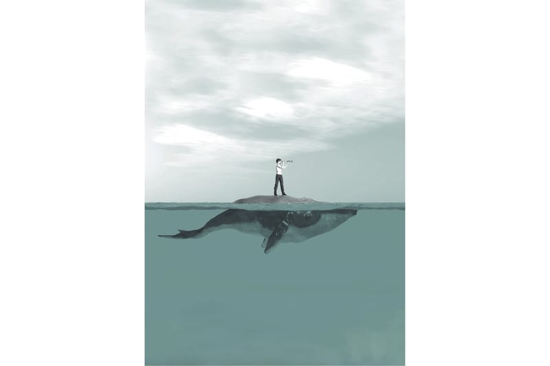 Boy & Whale Foto Blå/Grå - 50x70 cm - Posters - Illustrasjon poster