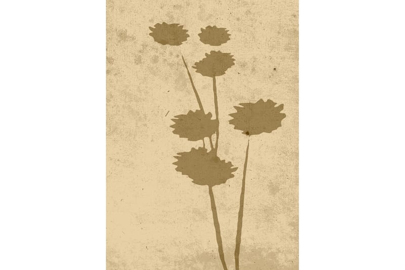 Poster Flower art 50x70 cm - Beige - Interiør - Maleri & posters - Posters