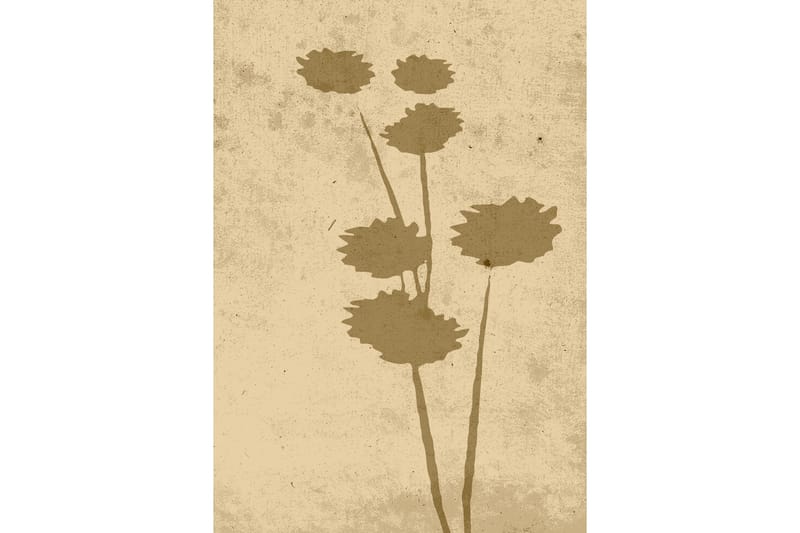 Poster Flower art 70x100 cm - Beige - Interiør - Maleri & posters - Posters