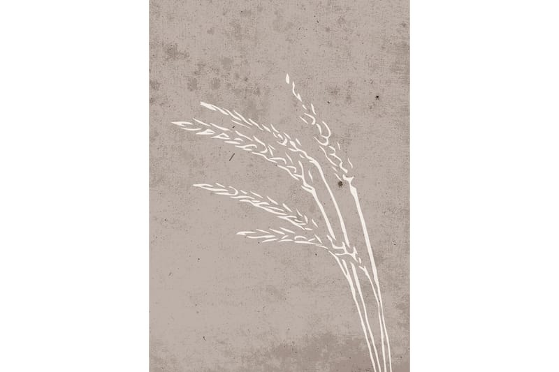 Poster Seeds 21x30 cm - Beige - Interiør - Maleri & posters - Posters