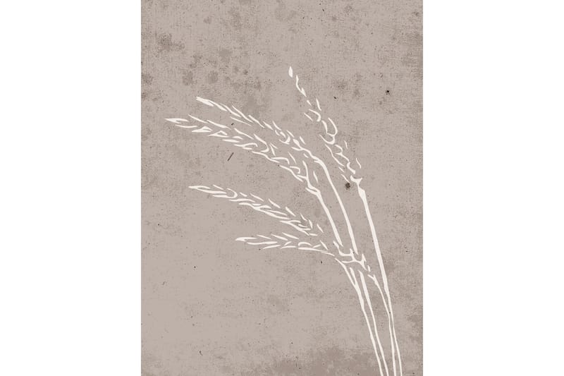 Poster Seeds 30x40 cm - Beige - Interiør - Maleri & posters - Posters