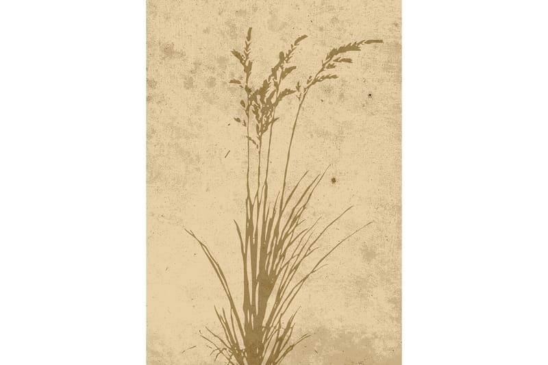 Poster Plant art 21x30 cm - Beige - Interiør - Maleri & posters - Posters