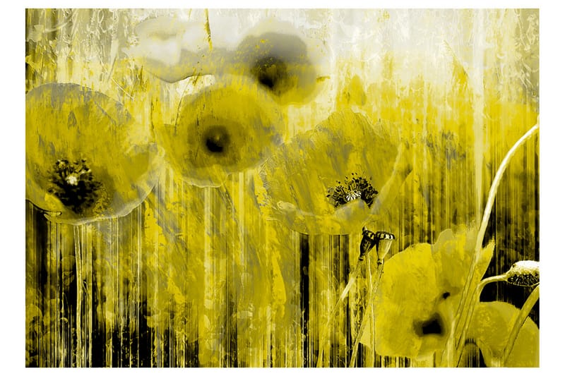 Bakgrunn Yellow Madness 250x175 - Artgeist sp. z o. o. - Interiør - Tapet - Fototapeter