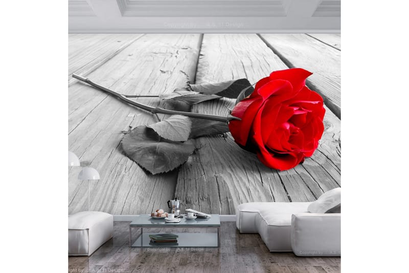 Fototapet Abandoned Rose 100x70 - Finnes i flere størrelser - Interiør - Tapet - Fototapeter