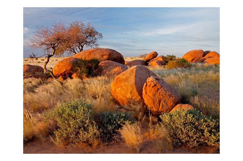 Fototapet Afrikansk Landskap Namibia 350x270 - Artgeist sp. z o. o. - Interiør - Tapet - Fototapeter