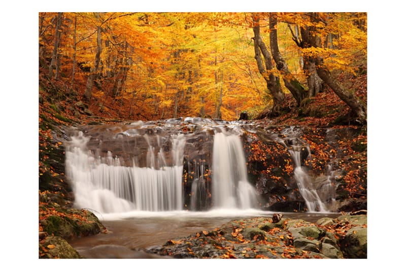 Fototapet Autumn Landscape Waterfall In Forest 300x231 - Artgeist sp. z o. o. - Interiør - Tapet - Fototapeter