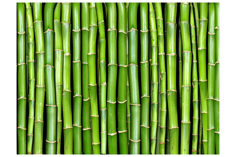 Fototapet Bamboo Wall 200x154 - Artgeist sp. z o. o. - Interiør - Tapet - Fototapeter