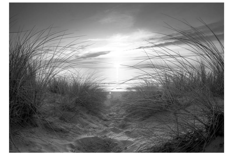 Fototapet Beach Black And White 200x140 - Artgeist sp. z o. o. - Interiør - Tapet - Fototapeter