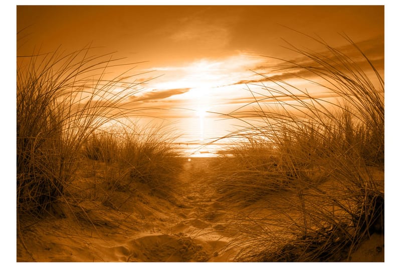 Fototapet Beach Sepia 100x70 - Artgeist sp. z o. o. - Interiør - Tapet - Fototapeter