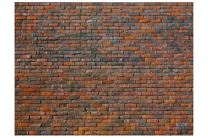 Fototapet Brick wall 200x154 - Artgeist sp. z o. o. - Interiør - Tapet - Fototapeter