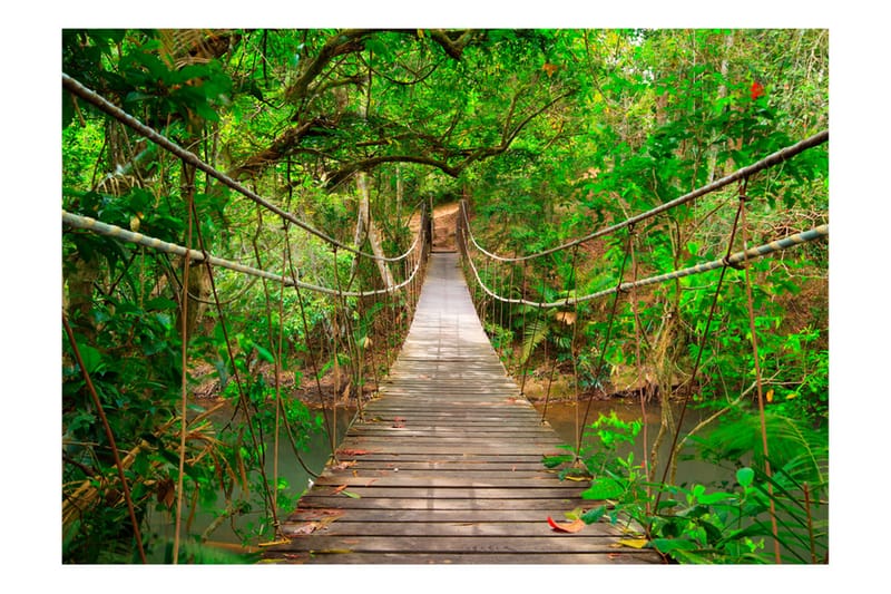 Fototapet Bridge Amid Greenery 150x105 - Artgeist sp. z o. o. - Interiør - Tapet - Fototapeter