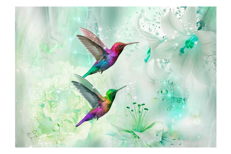 Fototapet Colorful Hummingbirds Green 150x105 - Finnes i flere størrelser - Interiør - Tapet - Fototapeter