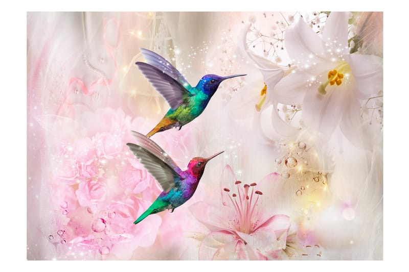 Fototapet Colorful Hummingbirds Pink 250x175 - Finnes i flere størrelser - Interiør - Tapet - Fototapeter