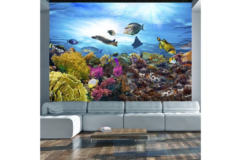 Fototapet Coral Reef 100x70 - Artgeist sp. z o. o. - Interiør - Tapet - Fototapeter