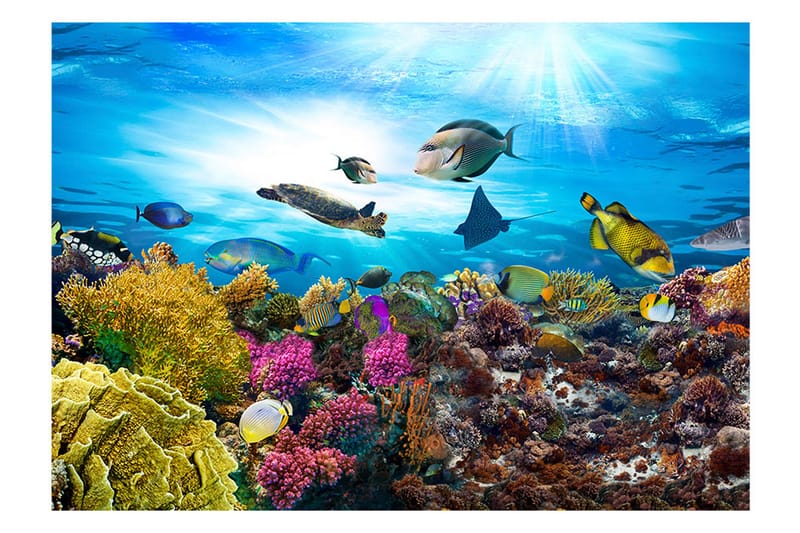 Fototapet Coral Reef 100x70 - Artgeist sp. z o. o. - Interiør - Tapet - Fototapeter