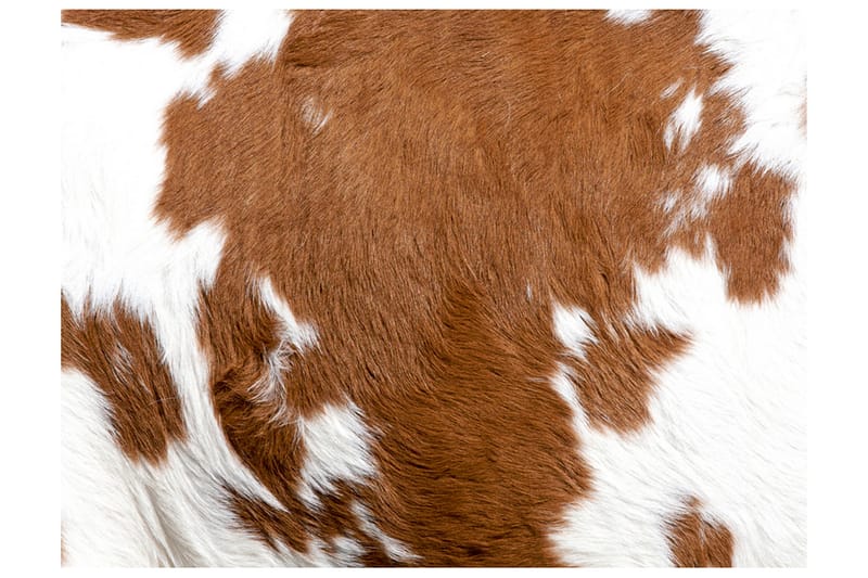 Fototapet Cow Skin 200x154 - Artgeist sp. z o. o. - Interiør - Tapet - Fototapeter