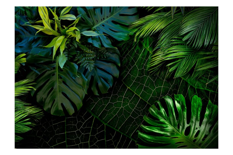 Fototapet Dark Jungle 350x245 - Artgeist sp. z o. o. - Interiør - Tapet - Fototapeter