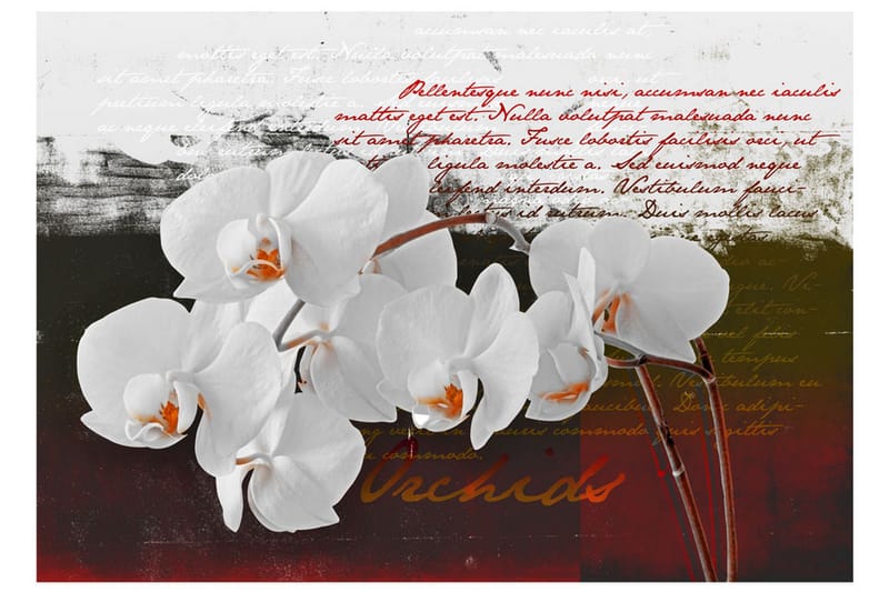 Fototapet Diary And Orchid 300x210 - Artgeist sp. z o. o. - Interiør - Tapet - Fototapeter