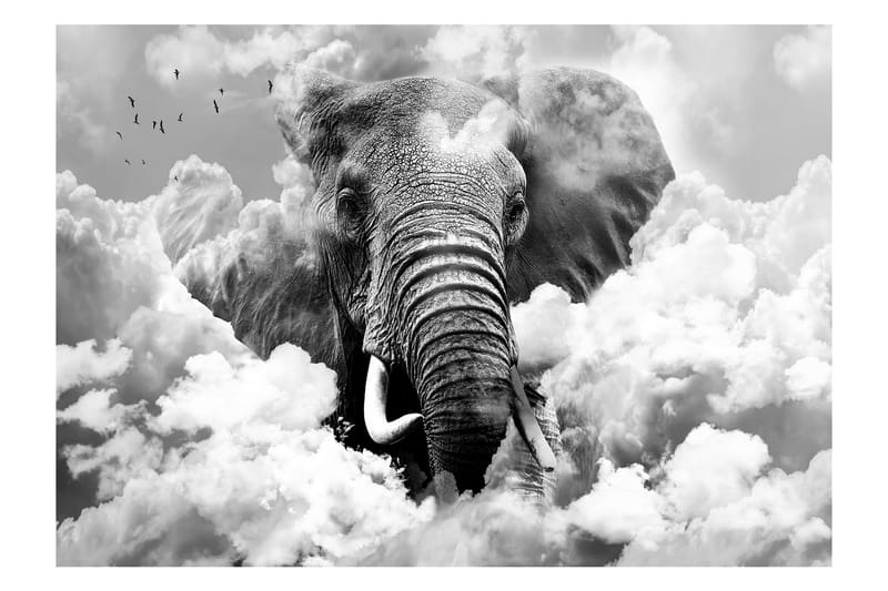 Fototapet Elephant In The Clouds Black And White 100x70 - Artgeist sp. z o. o. - Tapet stue - Fototapeter - Kjøkkentapeter - Tapet soverom