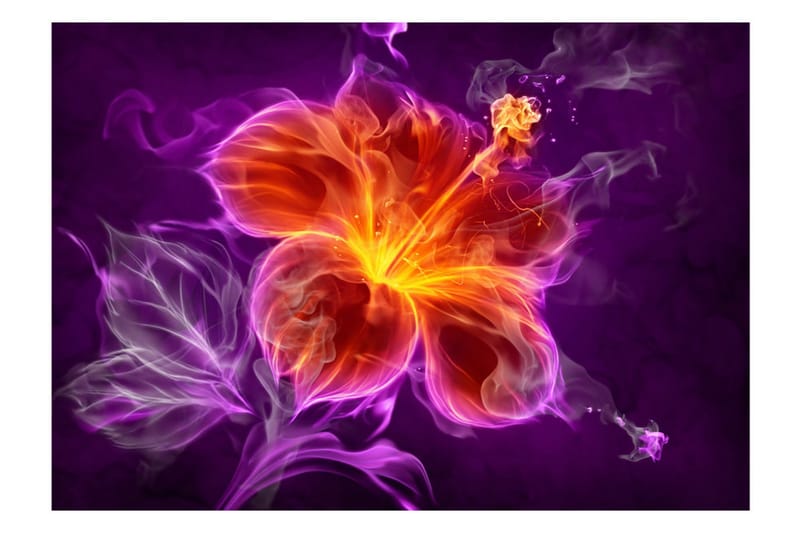 Fototapet Fiery Flower In Purple 100x70 - Artgeist sp. z o. o. - Interiør - Tapet - Fototapeter