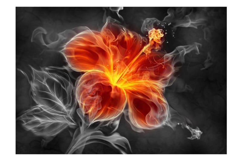 Fototapet Fiery Flower Inside The Smoke 300x210 - Artgeist sp. z o. o. - Interiør - Tapet - Fototapeter