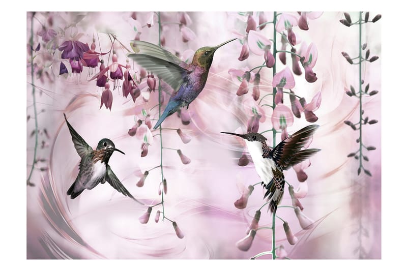 Fototapet Flying Hummingbirds Pink 250x175 - Finnes i flere størrelser - Interiør - Tapet - Fototapeter