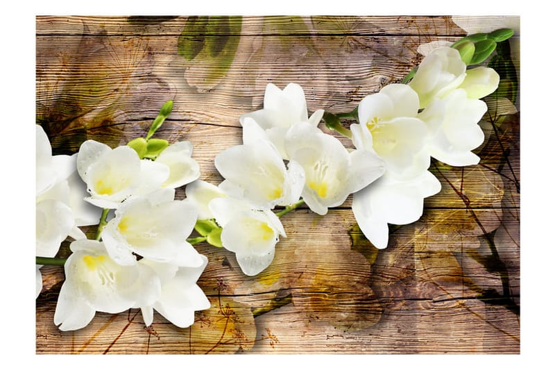 Fototapet Freesia On Wood 350x245 - Artgeist sp. z o. o. - Interiør - Tapet - Fototapeter