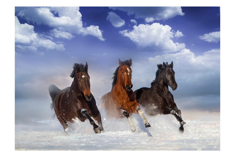 Fototapet Horses In The Snow 400x280 - Artgeist sp. z o. o. - Interiør - Tapet - Fototapeter