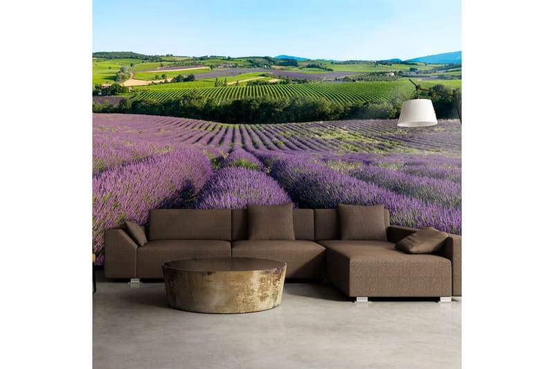 Fototapet Lavender field 200x154 - Artgeist sp. z o. o. - Interiør - Tapet - Fototapeter