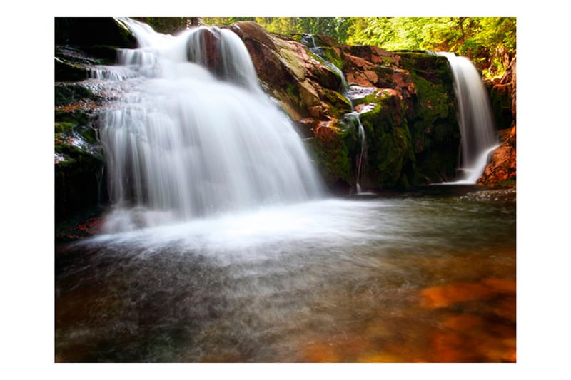 Fototapet Liten Elbe Foss 400x309 - Artgeist sp. z o. o. - Interiør - Tapet - Fototapeter