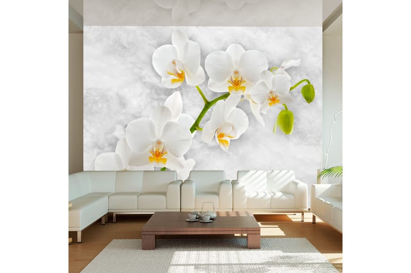 Fototapet Lyrical Orchid White 250x175 - Artgeist sp. z o. o. - Interiør - Tapet - Fototapeter