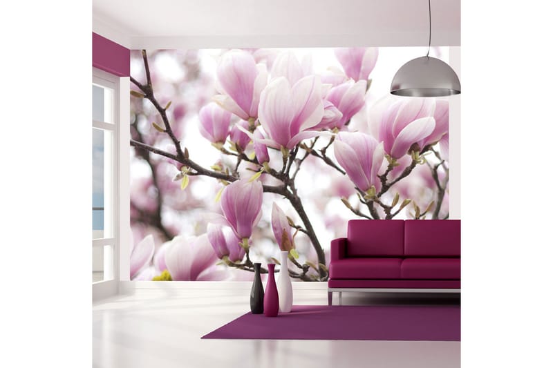 Fototapet Magnolia Bloosom 200x154 - Artgeist sp. z o. o. - Interiør - Tapet - Fototapeter