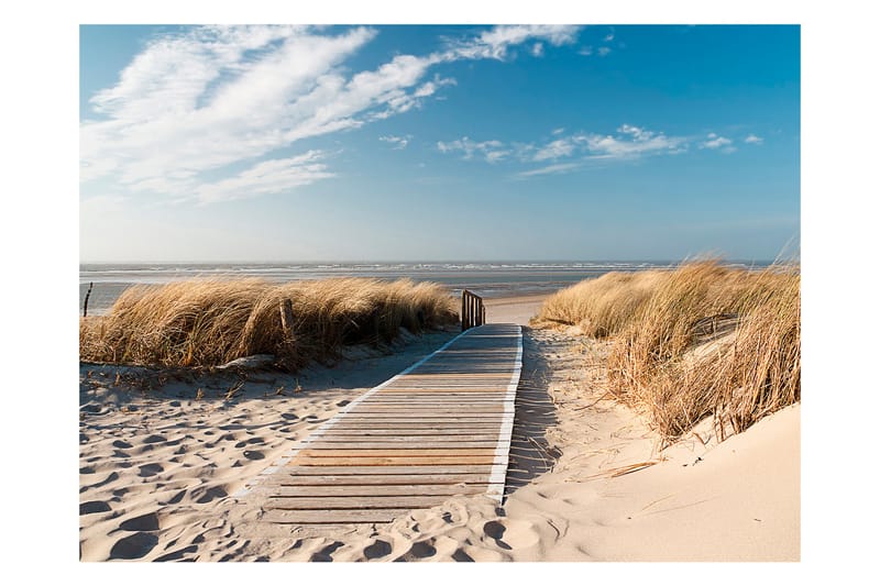 Fototapet Nordsjøens Strand Langeoog 300x231 - Artgeist sp. z o. o. - Interiør - Tapet - Fototapeter