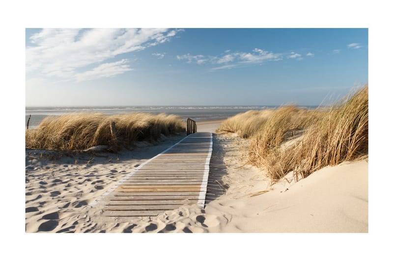 Fototapet Nordsjøens Strand Langeoog 450x270 - Artgeist sp. z o. o. - Interiør - Tapet - Fototapeter