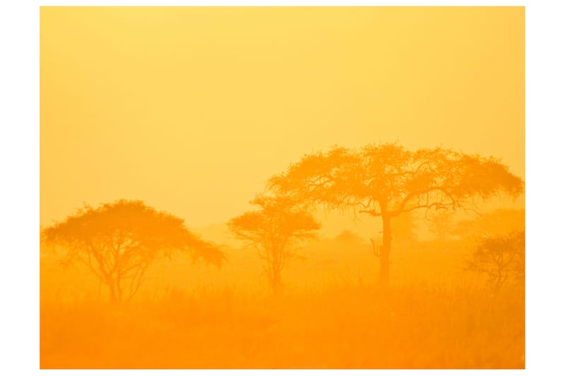 Fototapet Orange Savanna 200x154 - Artgeist sp. z o. o. - Interiør - Tapet - Fototapeter