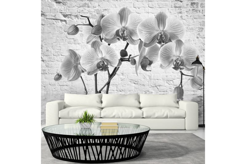 Fototapet Orchid In Shades Of Gray 300x210 - Artgeist sp. z o. o. - Interiør - Tapet - Fototapeter