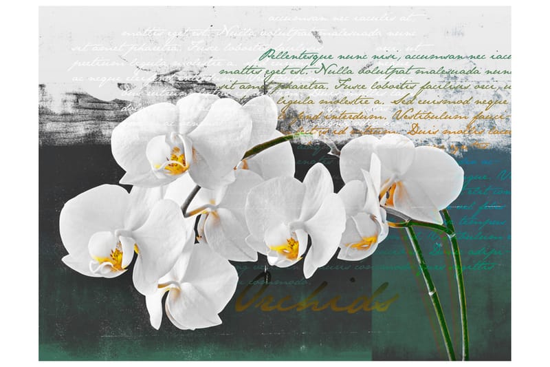 Fototapet Orchid Poet Inspiration 250x193 - Artgeist sp. z o. o. - Interiør - Tapet - Fototapeter