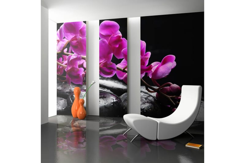 Fototapet Relaxing While Orchid And Stones 250x193 - Artgeist sp. z o. o. - Interiør - Tapet - Fototapeter